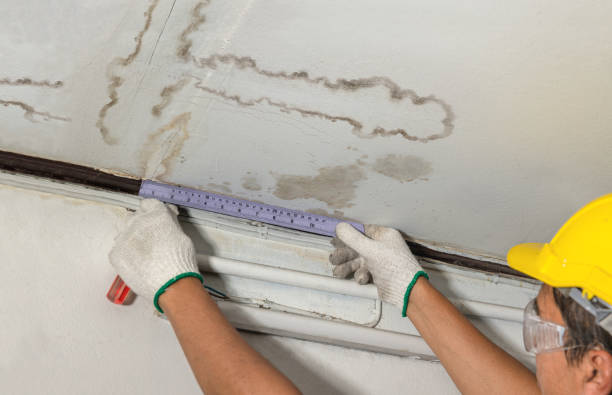 Reliable Structural Drying contractor in Cambria, IL by Water Damage Irwin